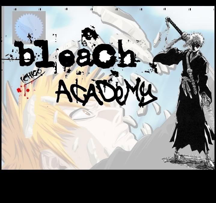 Bleach Academy
