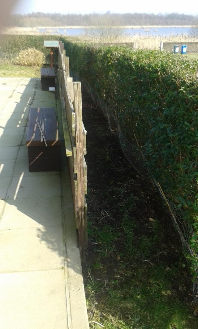 20150306_125820.jpg
