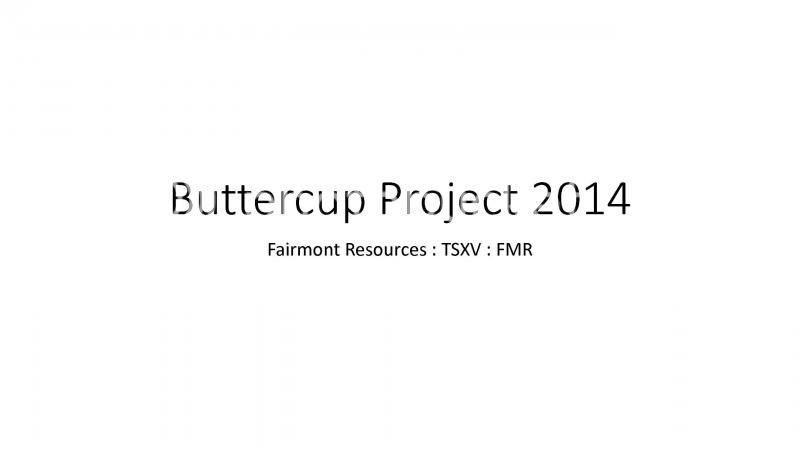  photo 2014ButtercupYearinReview_1.jpg