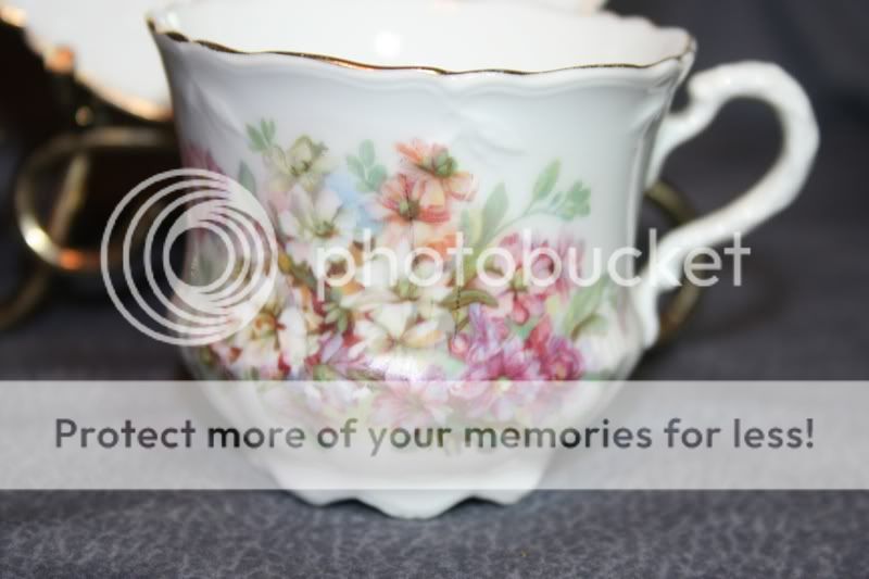 Germany China Cup & Saucer Floral Design  