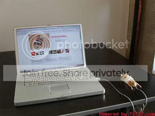 computermouse1.jpg