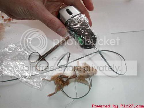 computermouse5.jpg