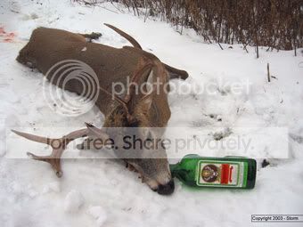 drunk_deer.jpg