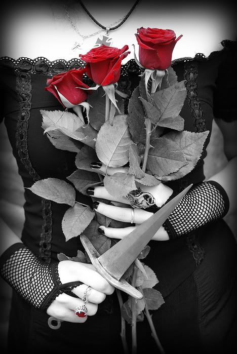 Dark Roses Pictures, Images and Photos