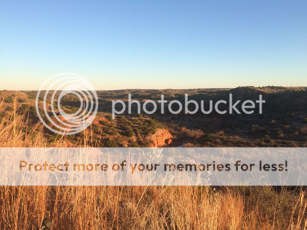 Got drawn for Mule Deer at Caprock Canyon | TexAgs