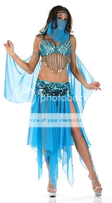 Sexy Belly Dancer Harem Girl Beaded Halloween Costume